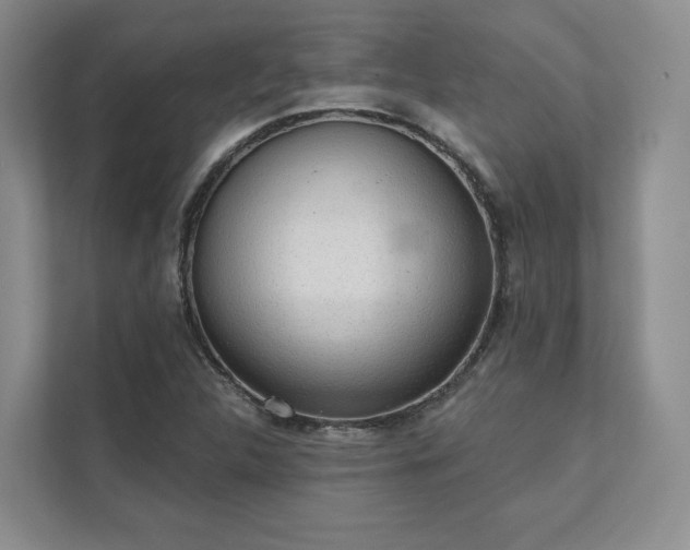 X0000111481312200907210940