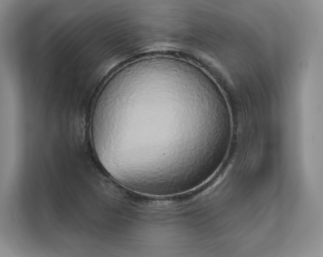 X0000111481313200907210940