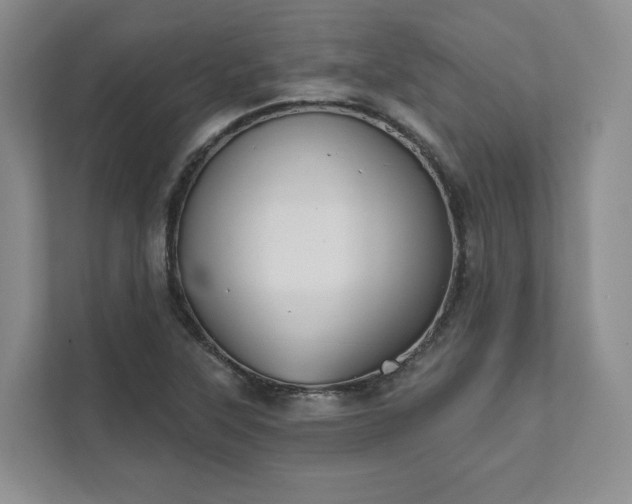 X0000111481315200907210940