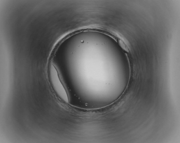 X0000111481316200907210940