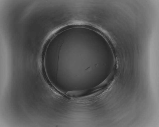 X0000111481319200907210940