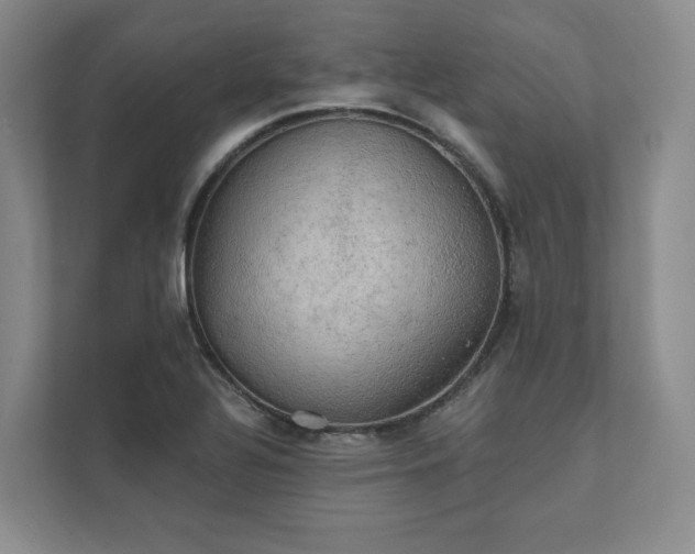 X0000111481320200907210941