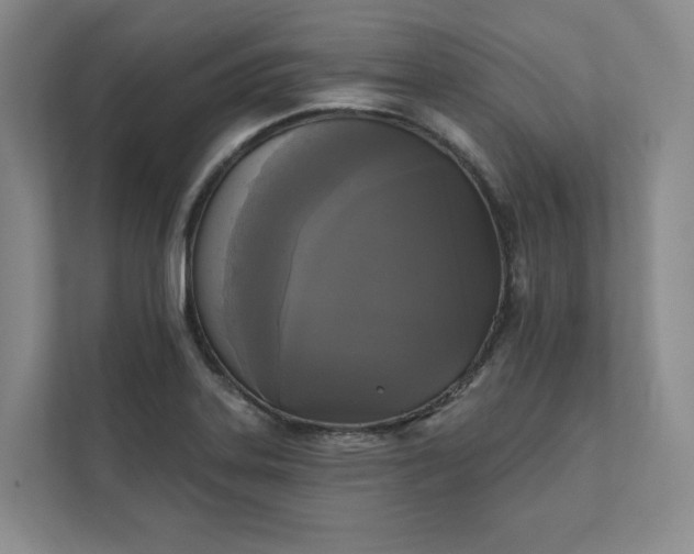X0000111481323200907210941