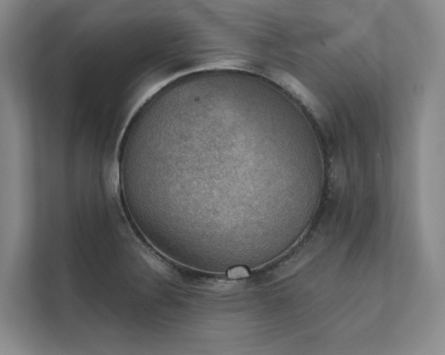 X0000111481324200907210941