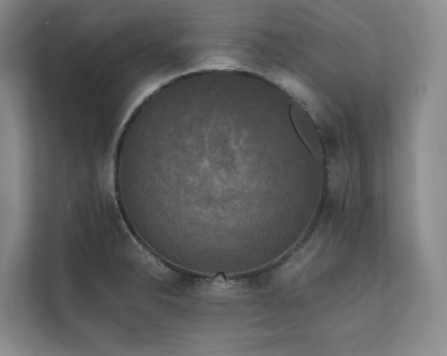 X0000111481326200907210941