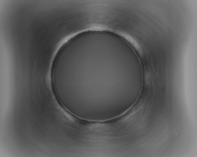 X0000111481327200907210941