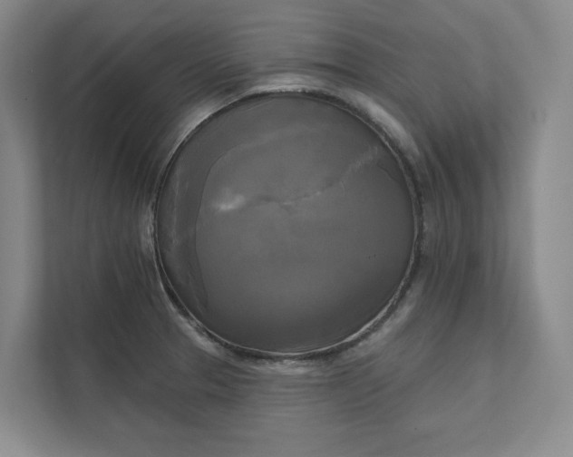 X0000111481329200907210941