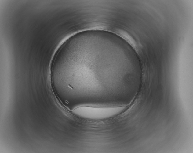 X0000111481332200907210941