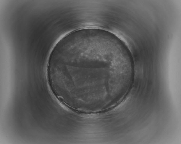 X0000111481333200907210941