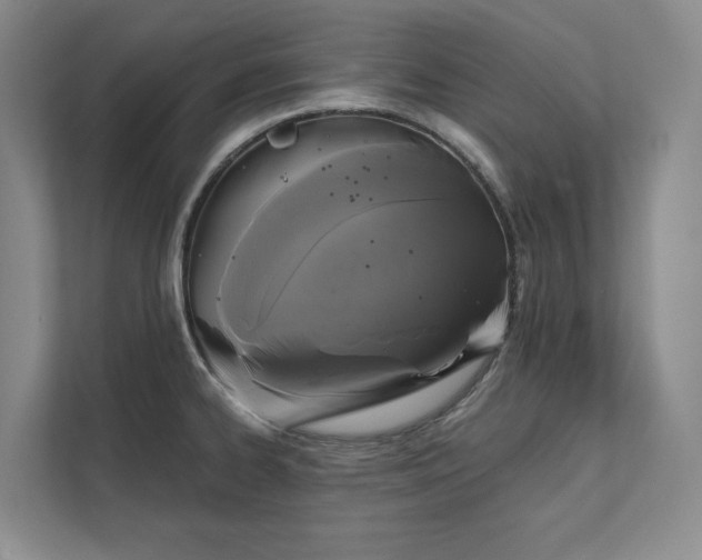 X0000111481334200907210941
