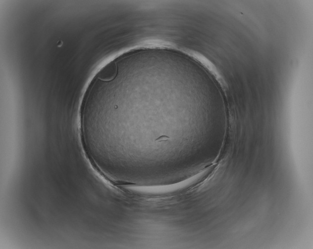 X0000111481335200907210941
