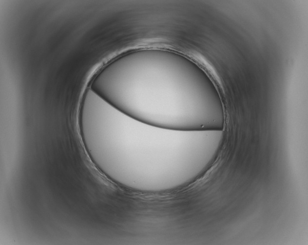 X0000111481336200907210941