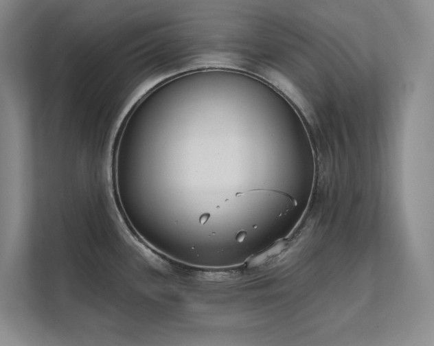 X0000111481339200907210941