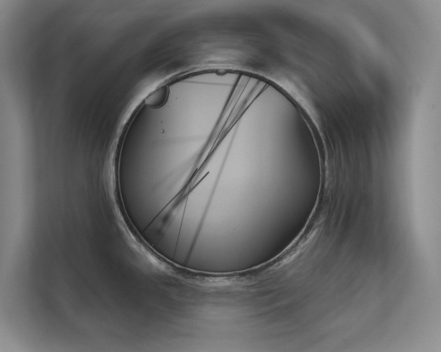 X0000111481341200907210941