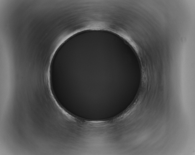 X0000111481343200907210941