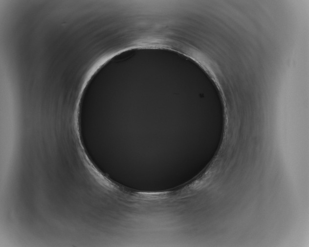 X0000111481344200907210941