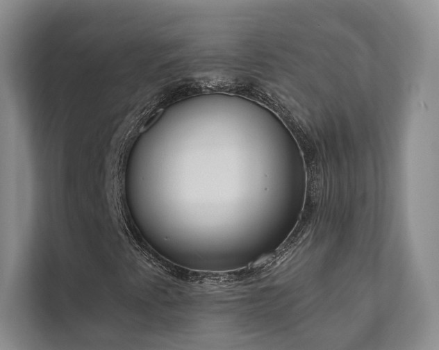 X0000111481345200907210940