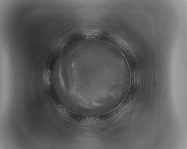 X0000111481346200907210940
