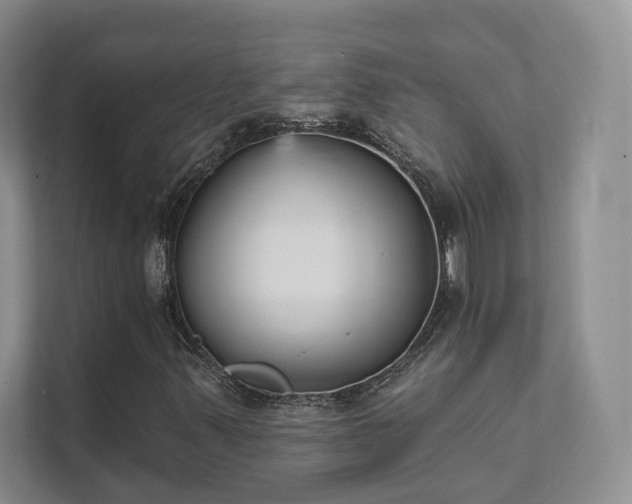 X0000111481347200907210940