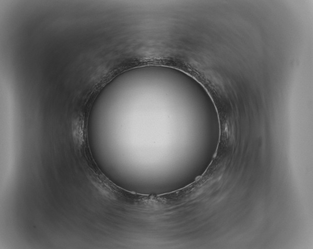 X0000111481348200907210940