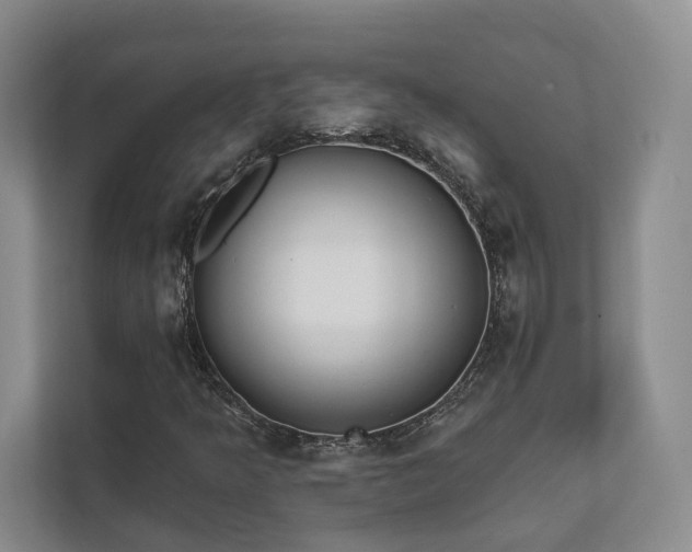 X0000111481349200907210940