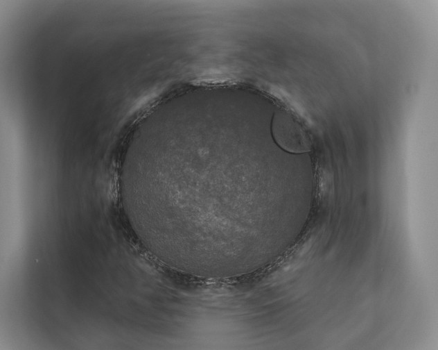 X0000111481350200907210940