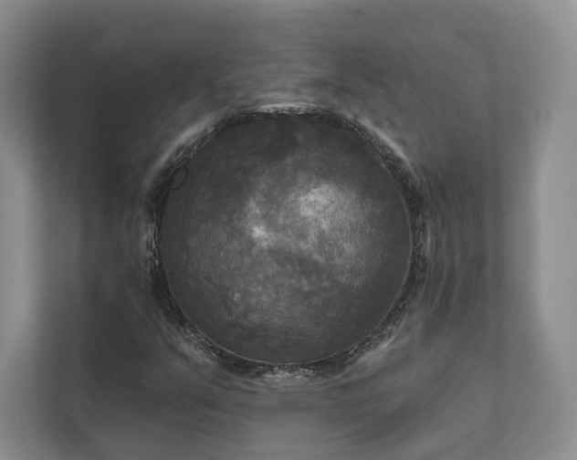 X0000111481351200907210940