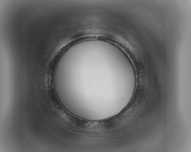 X0000111481352200907210940