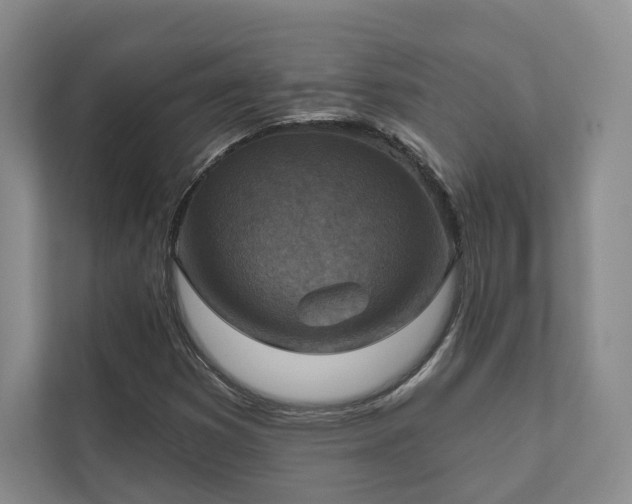 X0000111481353200907210940