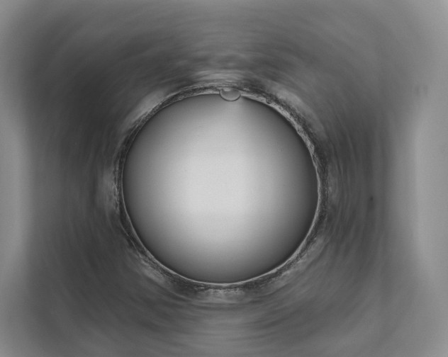 X0000111481354200907210940