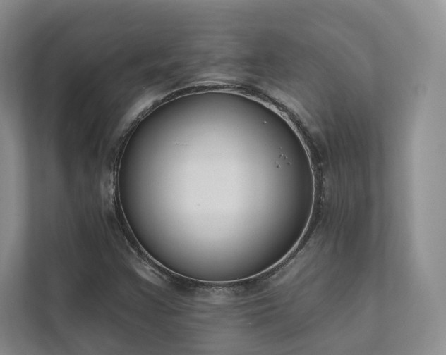 X0000111481355200907210940
