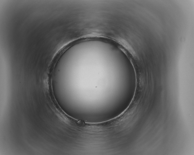 X0000111481356200907210940