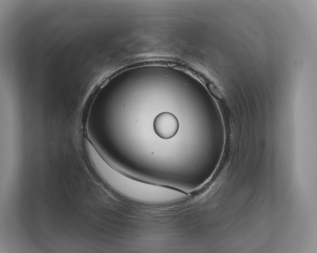 X0000111481357200907210940