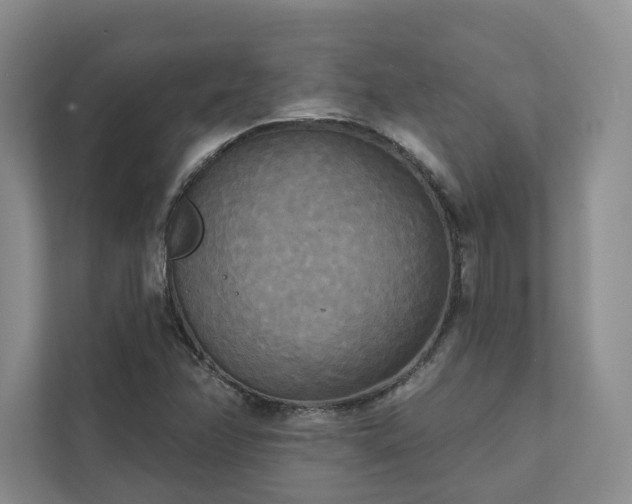 X0000111481358200907210940