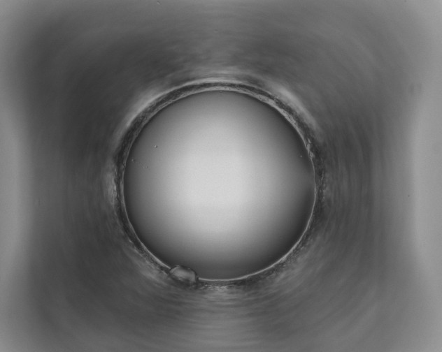X0000111481360200907210940