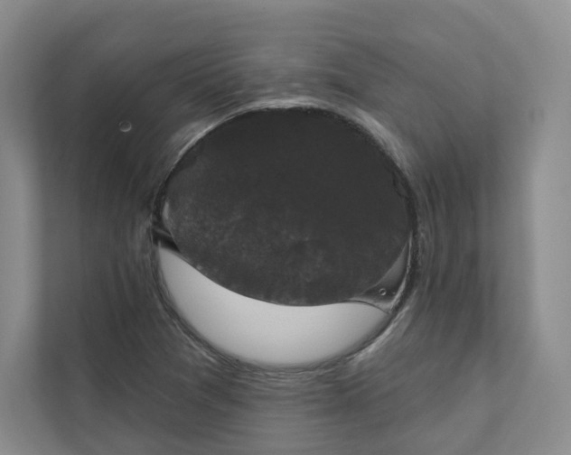 X0000111481361200907210940