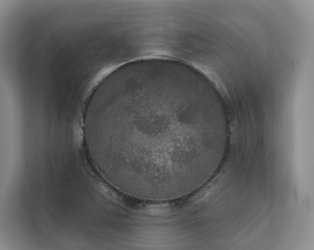 X0000111481363200907210940
