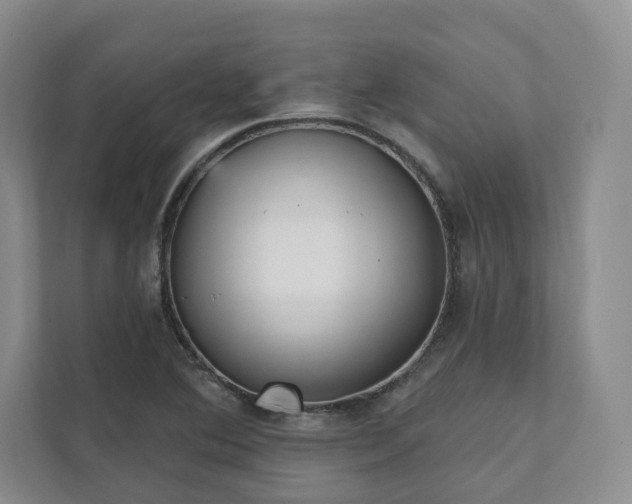 X0000111481364200907210940