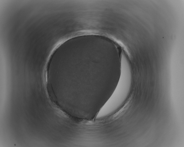 X0000111481365200907210940