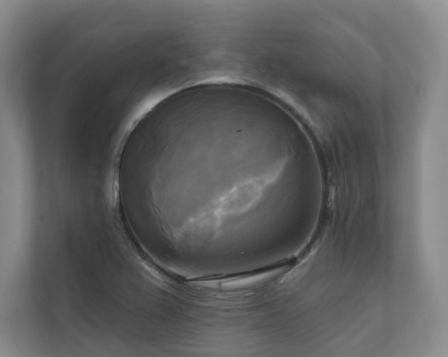 X0000111481367200907210940