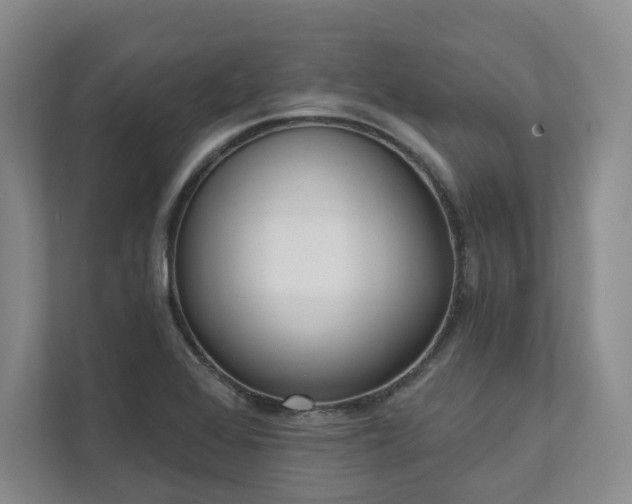 X0000111481368200907210940