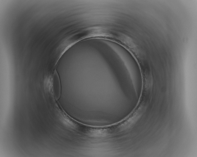 X0000111481369200907210940