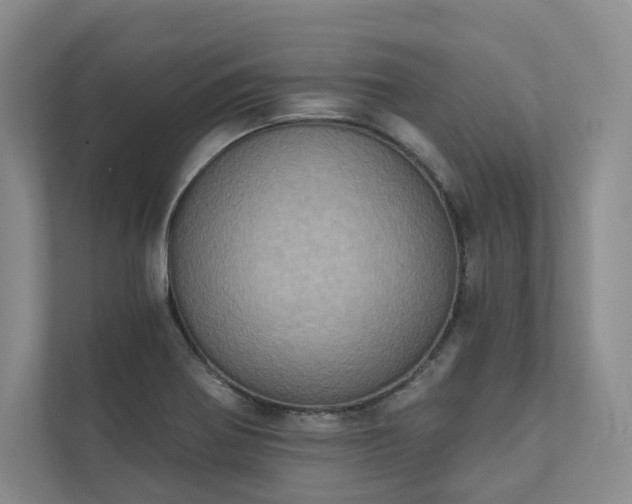 X0000111481370200907210940