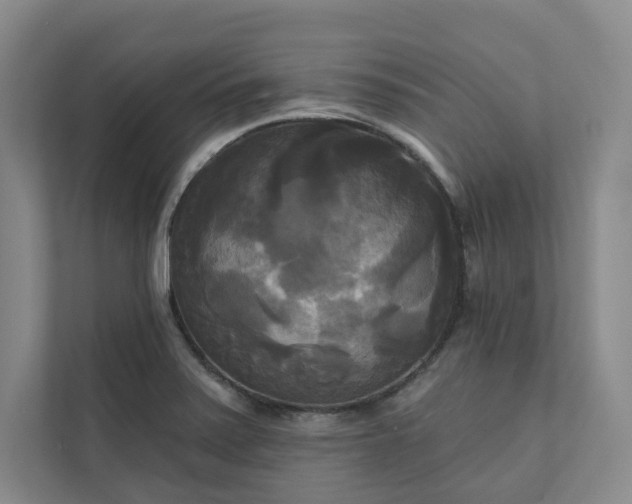 X0000111481371200907210940