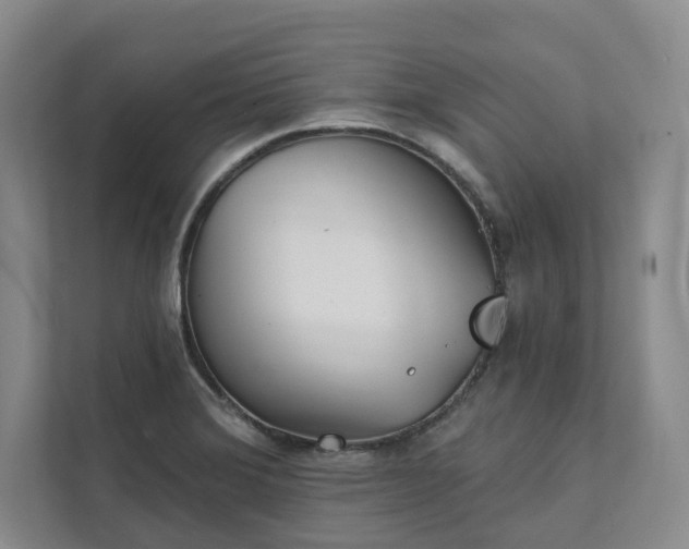 X0000111481372200907210940