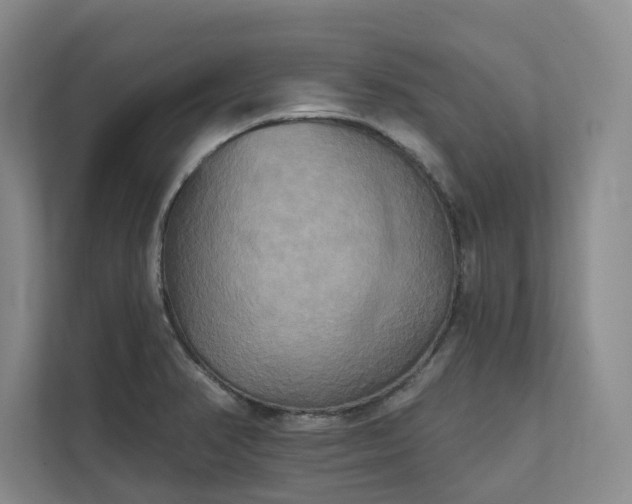 X0000111481374200907210940