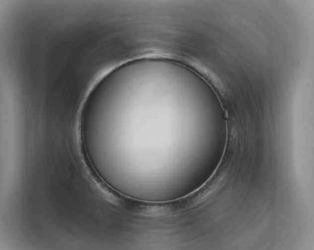 X0000111481375200907210940