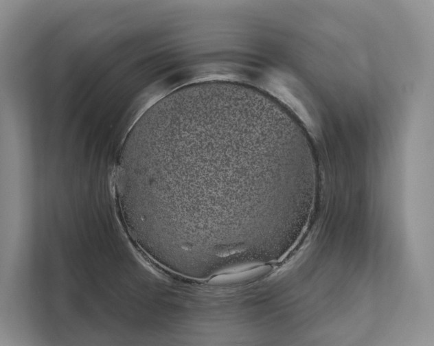 X0000111481377200907210940