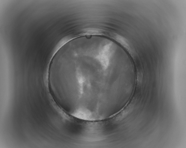 X0000111481378200907210940