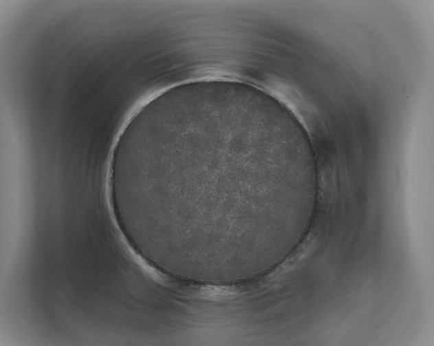 X0000111481379200907210940